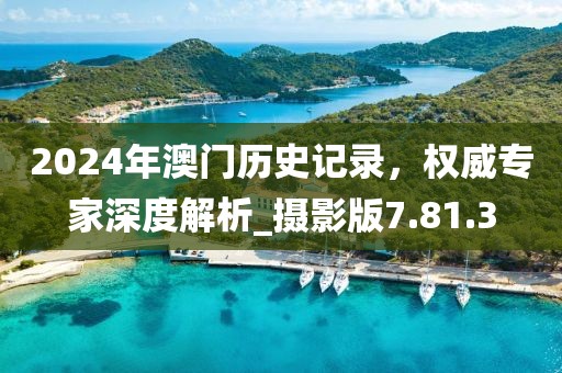2024年澳門歷史記錄，權(quán)威專家深度解析_攝影版7.81.3