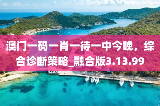 澳門一碼一肖一待一中今晚，綜合診斷策略_融合版3.13.99
