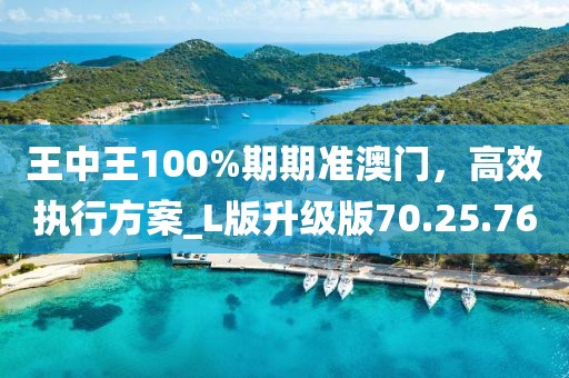 王中王100%期期準澳門，高效執(zhí)行方案_L版升級版70.25.76