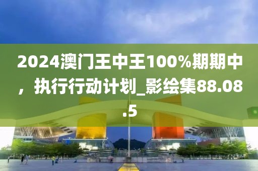 2024澳門(mén)王中王100%期期中，執(zhí)行行動(dòng)計(jì)劃_影繪集88.08.5