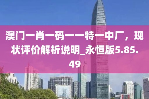 澳門一肖一碼一一特一中廠，現(xiàn)狀評價解析說明_永恒版5.85.49