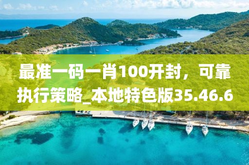 最準一碼一肖100開封，可靠執(zhí)行策略_本地特色版35.46.60