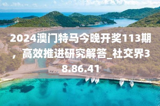2024澳門特馬今晚開獎113期，高效推進研究解答_社交界38.86.41