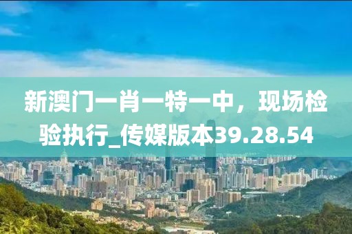 新澳門一肖一特一中，現(xiàn)場檢驗執(zhí)行_傳媒版本39.28.54