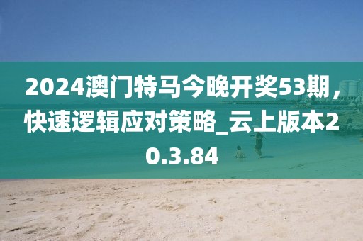2024澳門特馬今晚開獎53期，快速邏輯應對策略_云上版本20.3.84