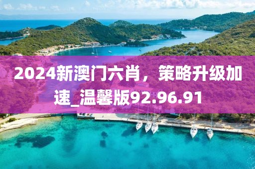 2024新澳門六肖，策略升級加速_溫馨版92.96.91