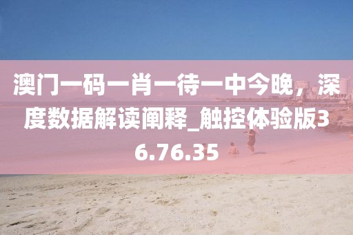 澳門一碼一肖一待一中今晚，深度數(shù)據(jù)解讀闡釋_觸控體驗版36.76.35