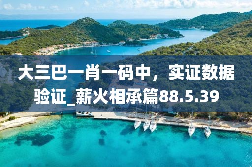 大三巴一肖一碼中，實證數(shù)據(jù)驗證_薪火相承篇88.5.39
