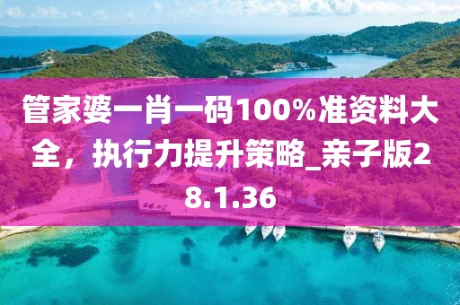 管家婆一肖一碼100%準資料大全，執(zhí)行力提升策略_親子版28.1.36