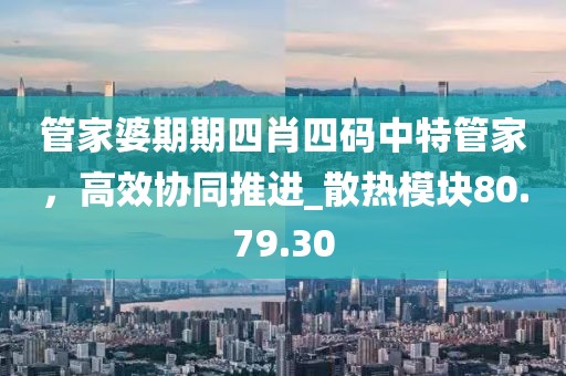 管家婆期期四肖四碼中特管家，高效協(xié)同推進(jìn)_散熱模塊80.79.30