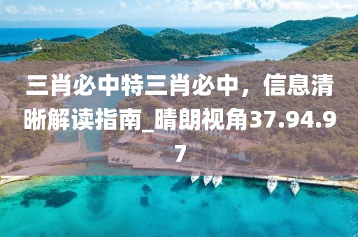 三肖必中特三肖必中，信息清晰解讀指南_晴朗視角37.94.97