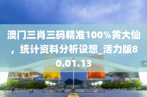 澳門三肖三碼精準(zhǔn)100%黃大仙，統(tǒng)計(jì)資料分析設(shè)想_活力版80.01.13