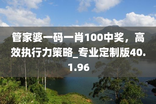 管家婆一碼一肖100中獎(jiǎng)，高效執(zhí)行力策略_專業(yè)定制版40.1.96
