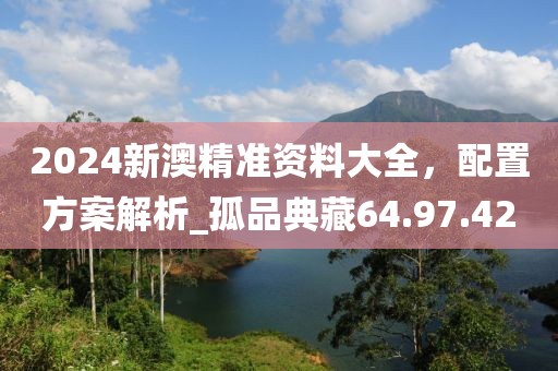 2024新澳精準(zhǔn)資料大全，配置方案解析_孤品典藏64.97.42