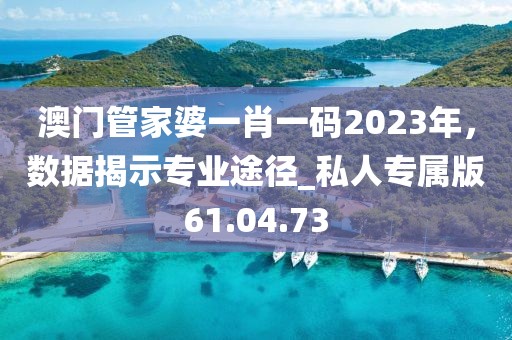 澳門管家婆一肖一碼2023年，數(shù)據(jù)揭示專業(yè)途徑_私人專屬版61.04.73