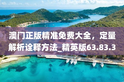 澳門正版精準(zhǔn)免費(fèi)大全，定量解析詮釋方法_精英版63.83.30