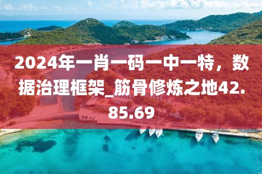 2024年一肖一碼一中一特，數(shù)據(jù)治理框架_筋骨修煉之地42.85.69