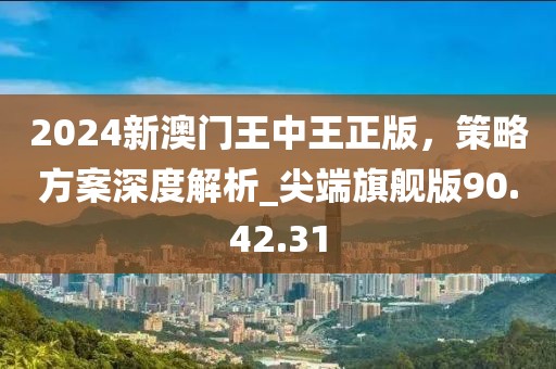 2024新澳門王中王正版，策略方案深度解析_尖端旗艦版90.42.31