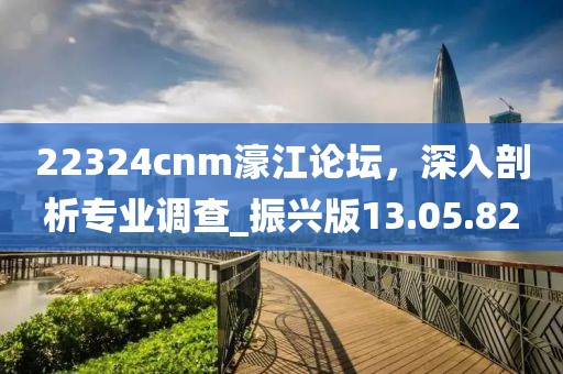 22324cnm濠江論壇，深入剖析專業(yè)調(diào)查_振興版13.05.82