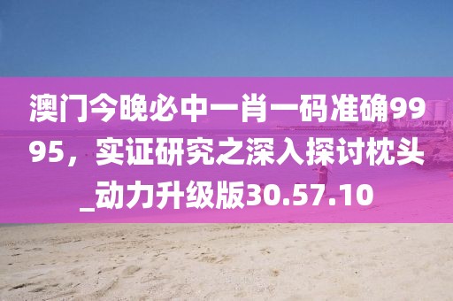 澳門(mén)今晚必中一肖一碼準(zhǔn)確9995，實(shí)證研究之深入探討枕頭_動(dòng)力升級(jí)版30.57.10