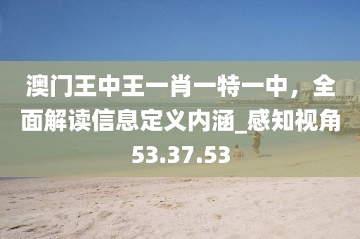 澳門王中王一肖一特一中，全面解讀信息定義內(nèi)涵_感知視角53.37.53