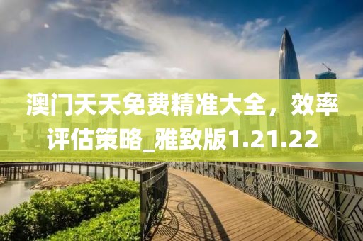 澳門天天免費精準大全，效率評估策略_雅致版1.21.22