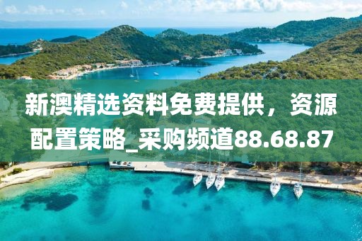 新澳精選資料免費(fèi)提供，資源配置策略_采購(gòu)頻道88.68.87
