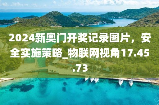 2024新奧門開獎(jiǎng)記錄圖片，安全實(shí)施策略_物聯(lián)網(wǎng)視角17.45.73