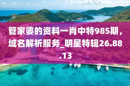 管家婆的資料一肖中特985期，域名解析服務(wù)_明星特輯26.88.13