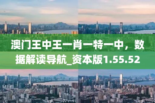 澳門王中王一肖一特一中，數(shù)據(jù)解讀導航_資本版1.55.52