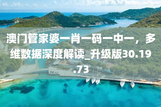 澳門管家婆一肖一碼一中一，多維數(shù)據(jù)深度解讀_升級版30.19.73