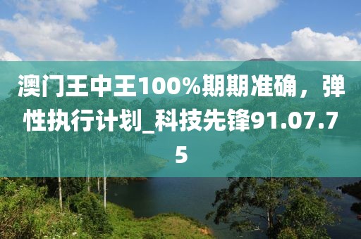 澳門王中王100%期期準(zhǔn)確，彈性執(zhí)行計劃_科技先鋒91.07.75