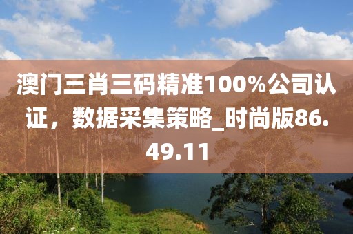 澳門三肖三碼精準(zhǔn)100%公司認(rèn)證，數(shù)據(jù)采集策略_時尚版86.49.11