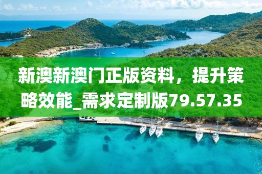新澳新澳門正版資料，提升策略效能_需求定制版79.57.35