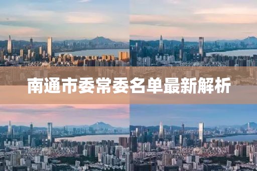 南通市委常委名單最新解析