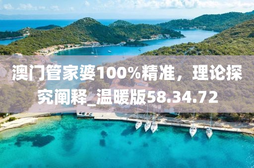 澳門管家婆100%精準，理論探究闡釋_溫暖版58.34.72