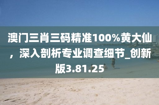 澳門(mén)三肖三碼精準(zhǔn)100%黃大仙，深入剖析專(zhuān)業(yè)調(diào)查細(xì)節(jié)_創(chuàng)新版3.81.25