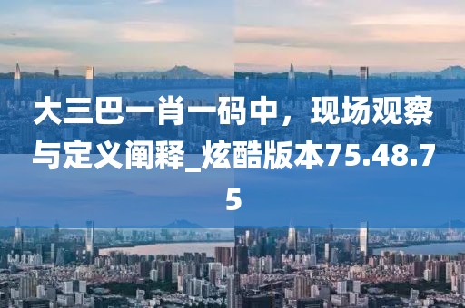 大三巴一肖一碼中，現(xiàn)場(chǎng)觀察與定義闡釋_炫酷版本75.48.75