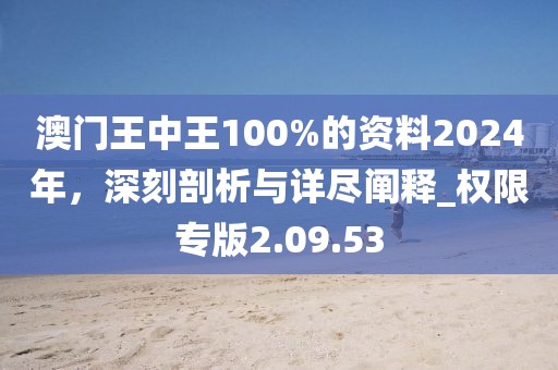 澳門王中王100%的資料2024年，深刻剖析與詳盡闡釋_權(quán)限專版2.09.53