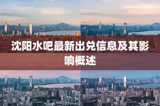 沈陽水吧最新出兌信息及其影響概述