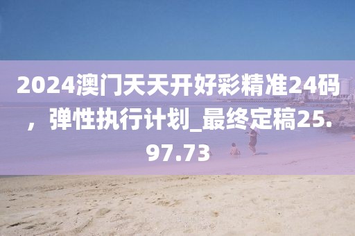 2024澳門天天開好彩精準24碼，彈性執(zhí)行計劃_最終定稿25.97.73