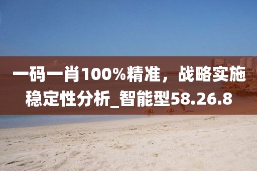 一碼一肖100%精準(zhǔn)，戰(zhàn)略實(shí)施穩(wěn)定性分析_智能型58.26.8