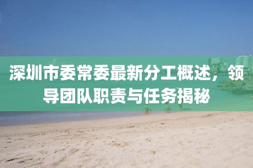 深圳市委常委最新分工概述，領(lǐng)導(dǎo)團(tuán)隊(duì)職責(zé)與任務(wù)揭秘