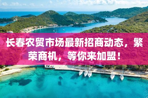 長春農(nóng)貿(mào)市場最新招商動態(tài)，繁榮商機(jī)，等你來加盟！