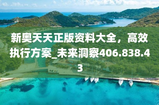 新奧天天正版資料大全，高效執(zhí)行方案_未來(lái)洞察406.838.43