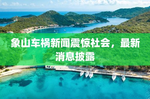 象山車(chē)禍新聞?wù)痼@社會(huì)，最新消息披露