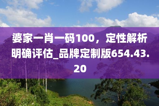 婆家一肖一碼100，定性解析明確評估_品牌定制版654.43.20