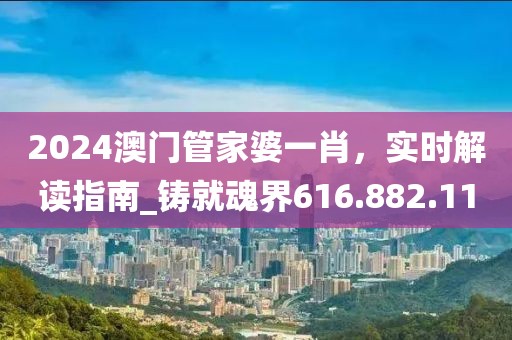 2024澳門管家婆一肖，實時解讀指南_鑄就魂界616.882.11