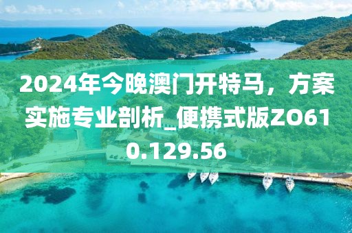 2024年今晚澳門開特馬，方案實(shí)施專業(yè)剖析_便攜式版ZO610.129.56