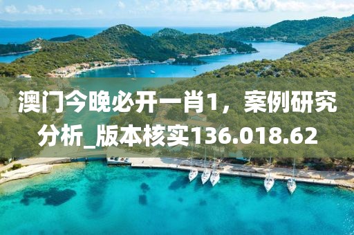 澳門今晚必開一肖1，案例研究分析_版本核實(shí)136.018.62